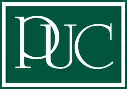 Paul Usoro & Co Logo